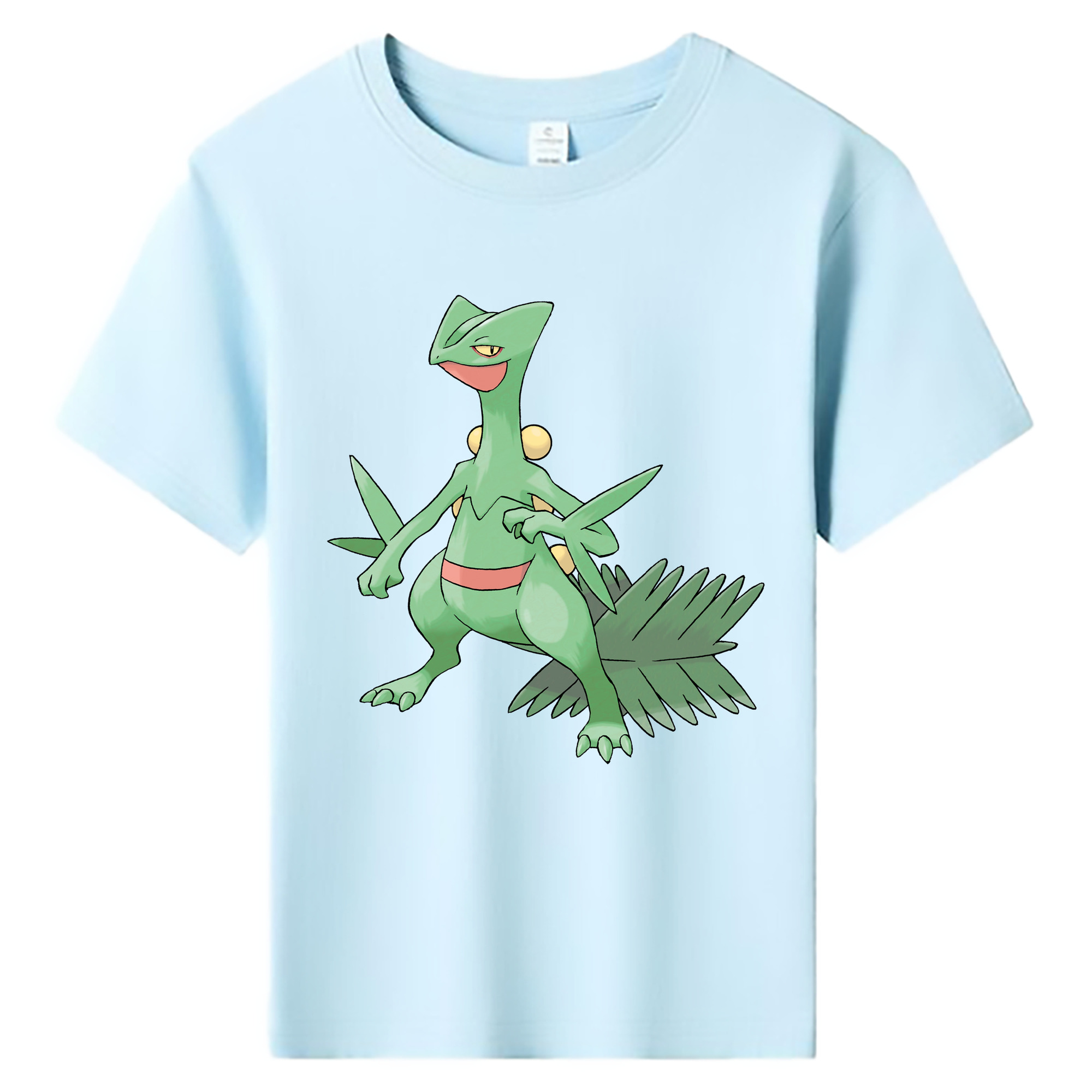 （画像用） ポケットモンスター Pokémon 綿100％キッズTシャツ（フロントプリント）